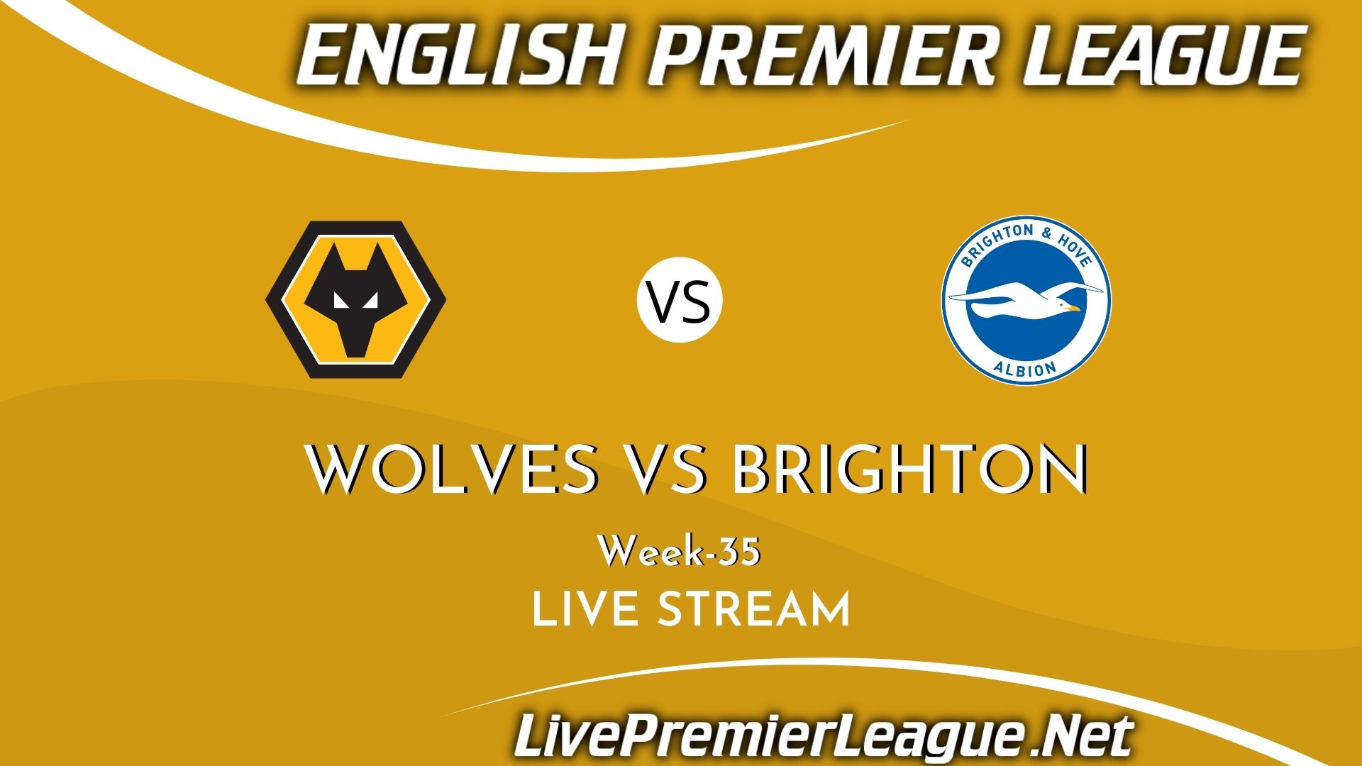 Wolverhampton Vs Brighton and Hove Albion Live Stream 2021 | Premier League Week 35